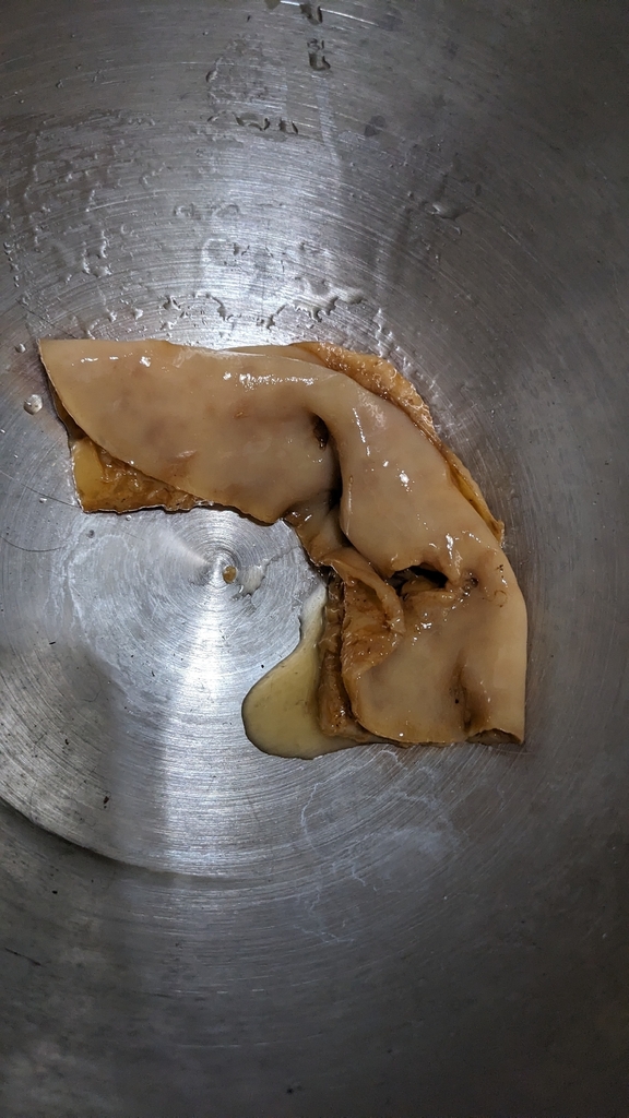 Baker’s Yeast