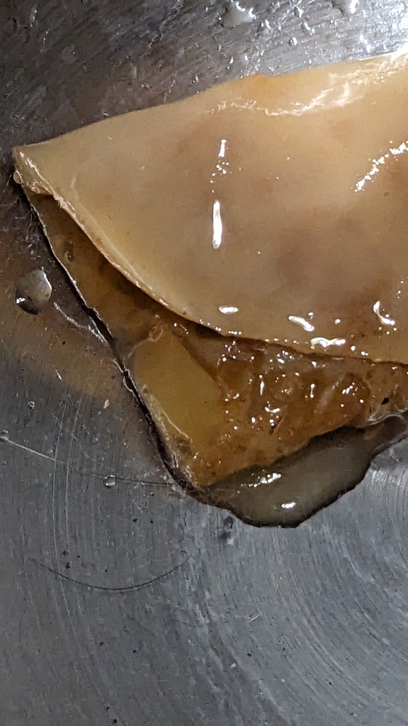 Baker's Yeast