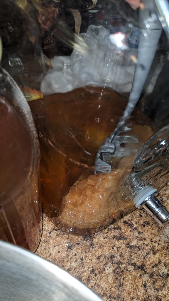 Baker's Yeast