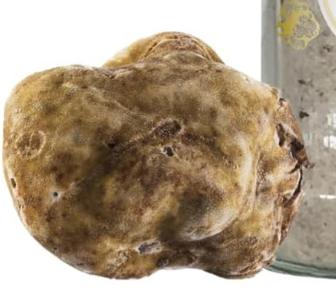 White Truffle